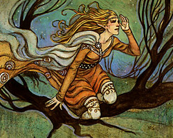 Scopripista di Quirion (Elfo) - ©Rebecca Guay Scopripista di Quirion - ©Rebecca Guay