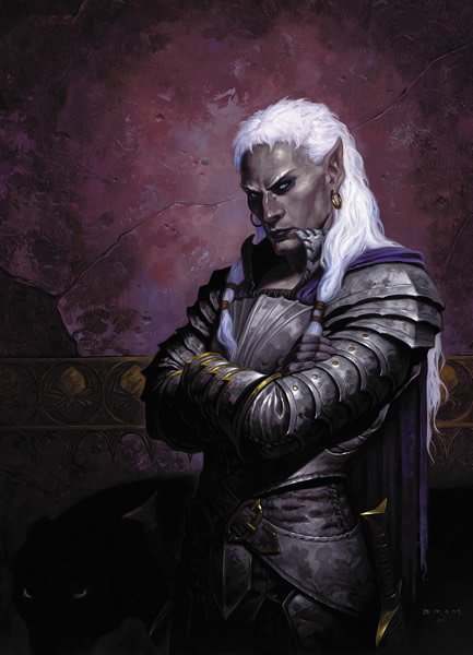 Elfo oscuro Elfo oscuro